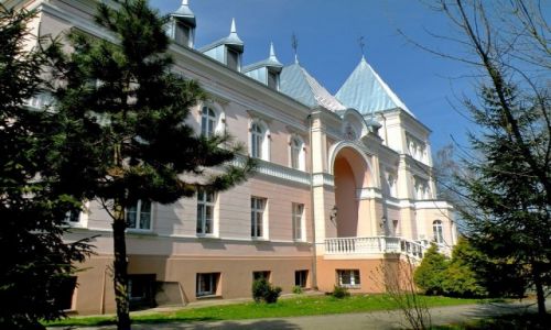 Zdjcie POLSKA / Opolskie / Jakubowice / Paac w Jakubowicach