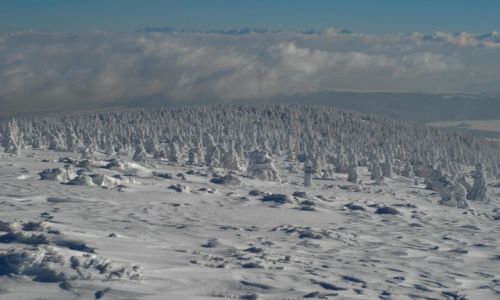 Zdjęcie POLSKA / Beskid Żywiecki / Pilsko-widok na Tatry / Zima z mrozem zaręczona