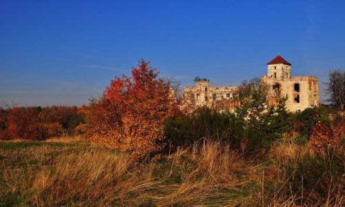 Zdjcie POLSKA / Maopolska / Rudno / Tenczyn