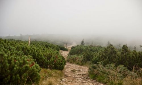 Zdjecie POLSKA / Beskid ywiecki / Pilsko / W drodze w nieznane - Pilsko