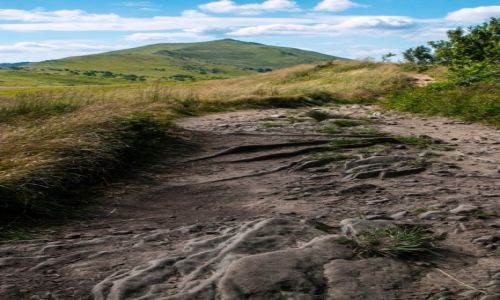 Zdjęcie POLSKA / Podkarpacie / Bieszczady  / wyboiście ale wartościowo
