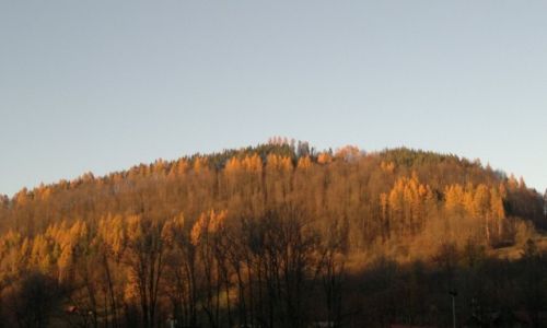 Zdjecie POLSKA / Pieniny / Szczawnica / Z marszu zrobione