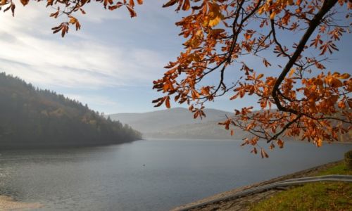 Zdjecie POLSKA / Beskid May / Jezioro Midzybrodzkie / Jesie I