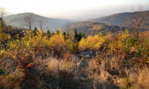 Zdjcie POLSKA / Beskid May / Sokowka / Widok na Bielsko II