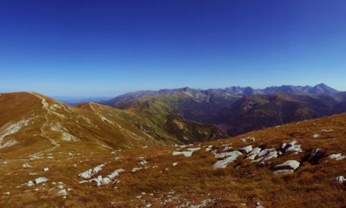 Zdjecie POLSKA / Tatry Zachodnie / Krzesanica (Czerwone Wierchy) / Tatry w kolorze rdzy