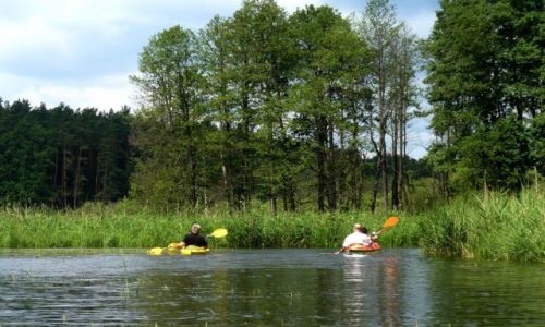 Zdjcie POLSKA / Warmia-Mazury / rzeka Krutynia / Spyw   kajakowy