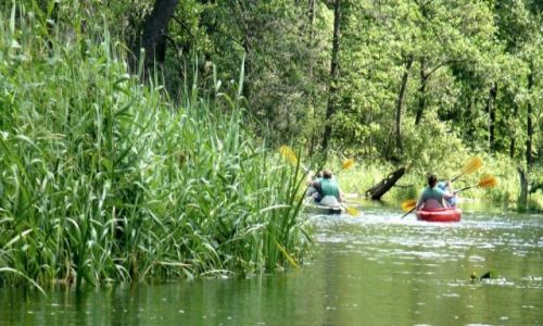 Zdjcie POLSKA / Warmia-Mazury / rzeka Krutynia / Spyw kajakowy