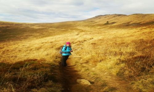 Zdjecie POLSKA / Bieszczady / Poonina Wetliska / Bieszczadzka wdrwka
