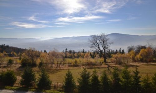 Zdjecie POLSKA / Beskid May / Magurka / Widok z Magurki 