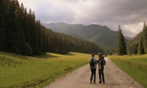 Zdjęcie POLSKA / tatry / dolinka / którędy na górę...