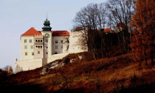 Zdjecie POLSKA / Maopolska / Pieskowa Skaa  - zamek / na szlaku Orlich Gniazd...