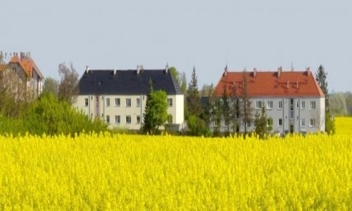 Zdjecie POLSKA / Opole / Groszowice / Takie widoki podczas wdrwek.