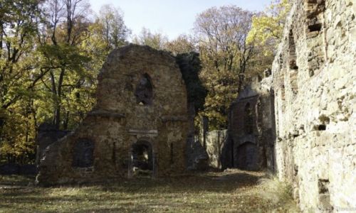Zdjęcie POLSKA / Dolny Śląsk / Wałbrzych / Stary Książ