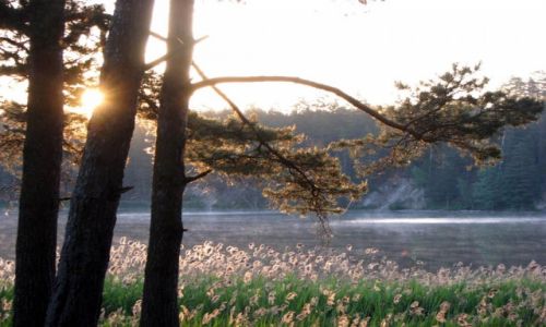 Zdjcie POLSKA / warmisko-mazurskie / jez.Mokre / wit na wyspie