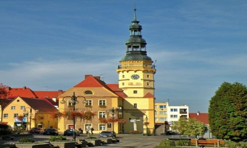 Zdjecie POLSKA / Opole / Otmuchw / Ratusz w rynku