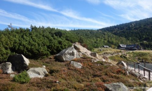 Zdjęcie POLSKA / Dolny Śląsk / Szlak na Samotnię / Nasz cel już niedaleko :)