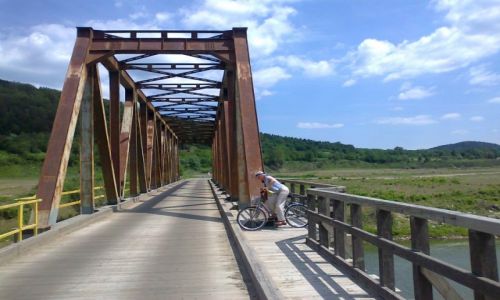 Zdjecie POLSKA / Maopolska / Zagrze / Wiekowy most