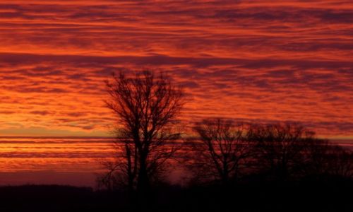 Zdj�cie POLSKA / ��d� / okolice Wielunia / Taki �wit 24.12.2014r.