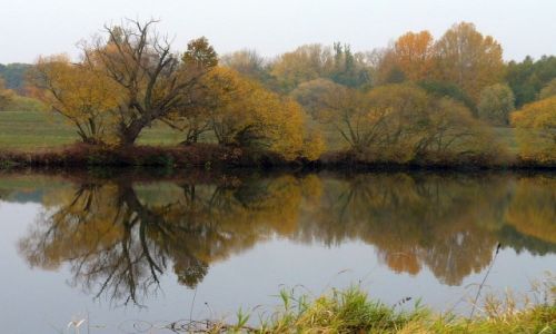 Zdjecie POLSKA / Opole / Opole / Jesie nad Odr