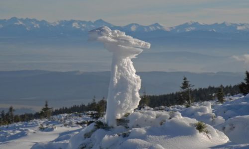 Zdjecie POLSKA / Beskid ywiecki / Pilsko / Mrony oddech panny Zimy