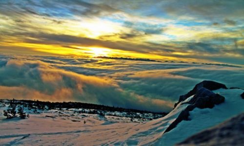 Zdjcie POLSKA / Beskid ywiecki / Babia Gra / Babiogrskie tsunami