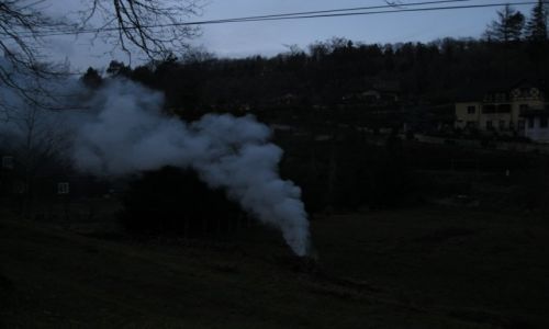 Zdjecie POLSKA / Kudowa / Kudowa / Kudowa - spalanie lici
