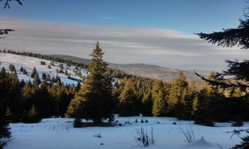 Zdjecie POLSKA / beskid ywiecki / pod Romank / nasze gry s cudowne...