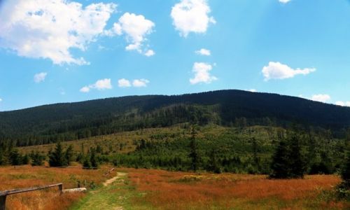 Zdjecie POLSKA / beskid ywiecki / beskid / w drodze na Pilsko