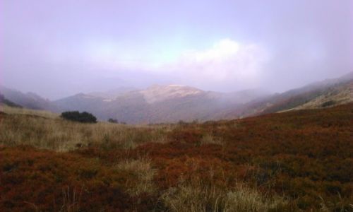 Zdjcie POLSKA / Bieszczady / Bukowe   / Bukowe jesieni