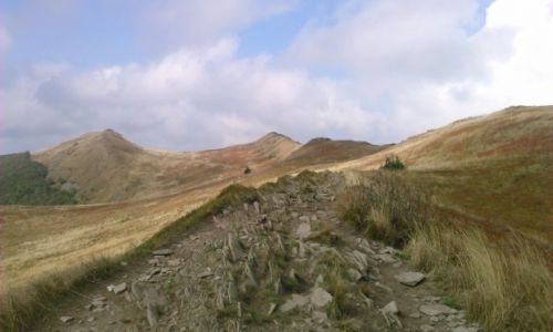 Zdjcie POLSKA / Bieszczady / Poonina / Poonina