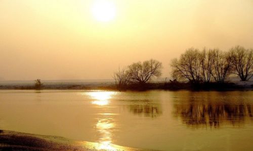 Zdjecie POLSKA / opolskie / Nad Odr / Zimowo nad Odr