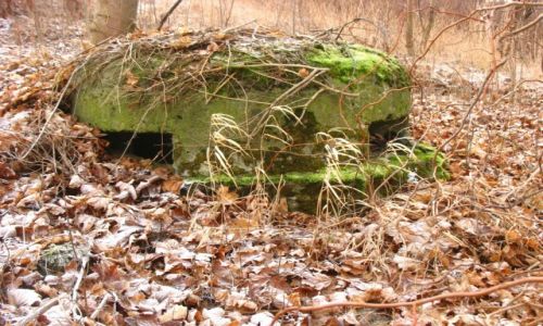 Zdjęcie POLSKA / Beskid Żywiecki / Pietrzykowice / Niemiecki schron z Linii B 2