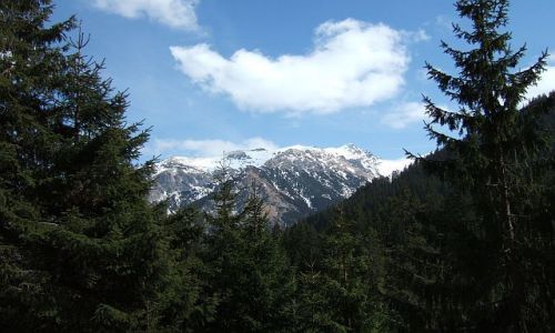 Zdjecie POLSKA / tatry / Tatry / widok na góry