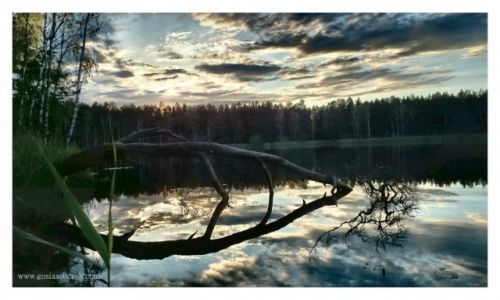 Zdjecie POLSKA / lubuskie / Gbokie / Komrkowiec - XperiaZ3