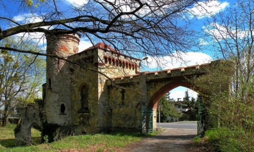 Zdjęcie POLSKA / opolskie / Zamek w Dobrej / Brama od strony parku