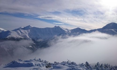 Zdjecie POLSKA / TATRY / Grze  / sonce 