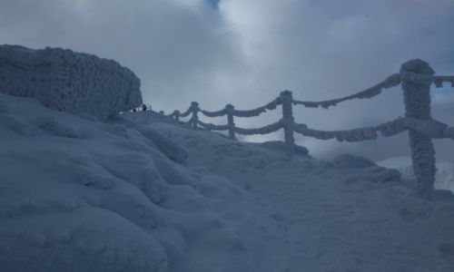 Zdjecie POLSKA / Karkonosze / Pod niek / Droga
