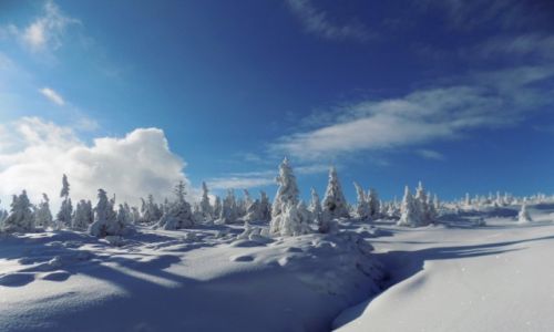 Zdjecie POLSKA / Karkonosze / Karpacz / Pejza zimowy