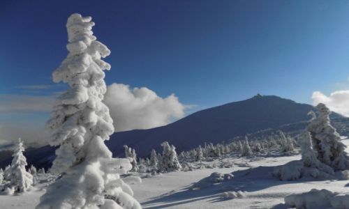 Zdjcie POLSKA / Karkonosze / Kopa / Widoczek z Kopy
