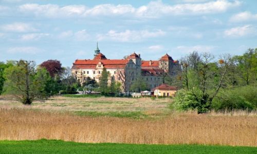 Zdjcie POLSKA / opolskie / Niemodlin / Zamek w Niemodlinie