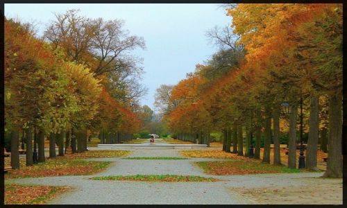 Zdjęcie POLSKA / kujawsko pomorskie / Ciechocinek / Aleja spacerowa za amfiteatrem