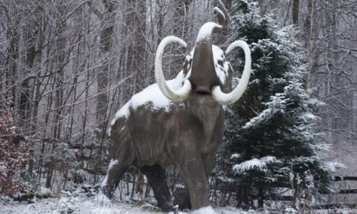 Zdjcie POLSKA / Dolnolskie / Kletno / Mamut obok Muzeum Ziemii