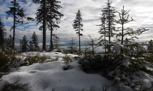Zdjcie POLSKA / Gorce / okolice Turbacza / w chmurach Tatry