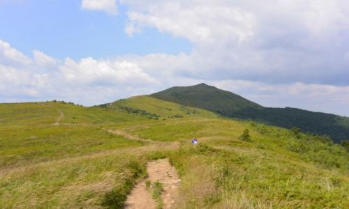 Zdjcie POLSKA / Bieszczady / Bieszczadzki Park Narodowy / Gry