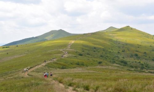 Zdjcie POLSKA / Bieszczady / Bieszczadzki Park Narodowy / Gry