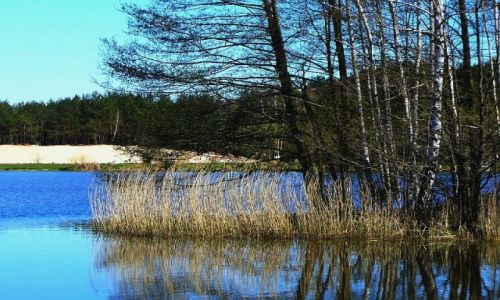 Zdjęcie POLSKA / łódzkie / Wawrzkowizna / Nad rozlewiskiem