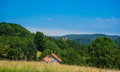 Zdjcie POLSKA / Dolnolskie / Zagrze lskie / Zamek Grodno z trasy Michakowa - Zagrze lskie