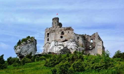 Zdjecie POLSKA / LSKIE / Mirw / Mirw