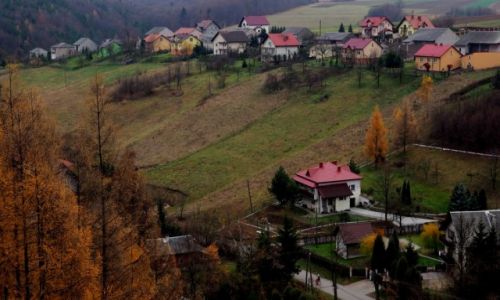 Zdjecie POLSKA / Maopolska / Skaa / szar jesieni...