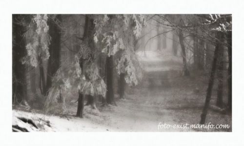 Zdjcie POLSKA / Beskid Sdecki / Beskid Sdecki / Beskid Sdecki 1